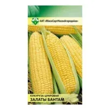 Кукуруза Золотой бантам сахарная 4г
