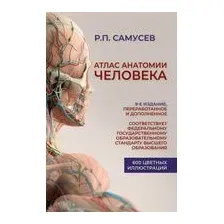 Атлас анатомии человека