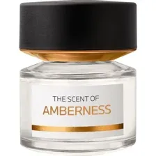 Парфюмерная вода BMW Amberness, мужская, 100 мл