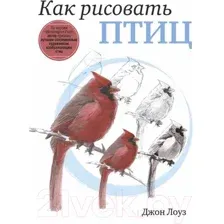 Как рисовать птиц