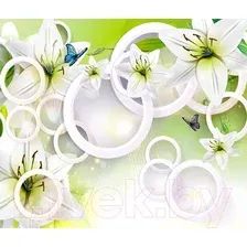 Фотообои Citydecor Круги 3D 300x254