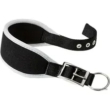 Ошейник Ferplast Ergocomfort CW20/39 75454955 (черный)