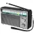 Радиоприемник Ritmix RPR-131