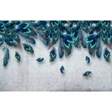 Фотообои листовые Citydecor Перышки 2 (400x254)