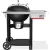 Гриль Weber Performer 1501630