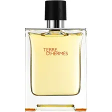 Туалетная вода Hermes Terre d'Hermes EdT (100 мл)