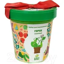 Набор для выращивания растений Happy Plant Горох сахарный / hpn-35
