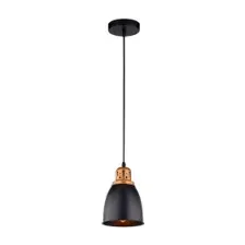 Светильник Arte Lamp Eurica A4248SP-1BK