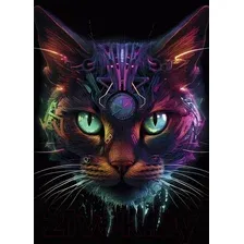 Картина Stamprint Звездный кот AR058 (70x50)