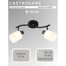 Припотолочная люстра Aitin Pro НПБ 02-2x60-102 52160/2B (черный/хром)
