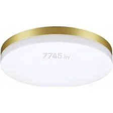 Светильник уличный настенно-потолочный NOVOTECH Street NT22 Opal золото (358892)