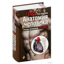 Анатомия человека. Русско-латинский атлас