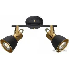 Спот Arte Lamp Jovi A1677PL-2GO
