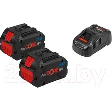 Набор аккумуляторов для электроинструмента Bosch ProCORE 18V 5.5  зарядное GAL 1880 CV (1.600.A02.14C)