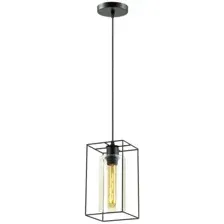 Подвесная люстра Lumion Elliot 3728/1