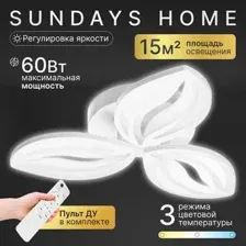 Люстра Sundays Home R-38 / 6310