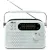 Радиоприемник Ritmix RPR-045 (белый)