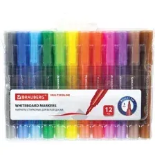 Набор маркеров BRAUBERG Multicolor 152121 (12шт)