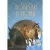 Книга издательства Харвест. Лошади и пони (Жабцев В.)