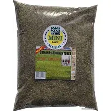 Семена VDV Seeds Sport-Ground 2.5 кг