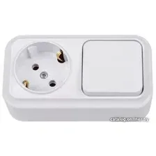 Выключатель Bylectrica В-РЦ-7112