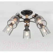 Люстра Евросвет Astor 70111/5 (черный)