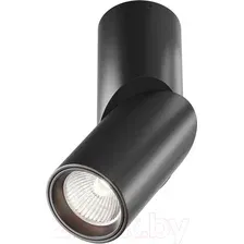 Потолочный светильник Maytoni Dafne C027CL-L10B4K