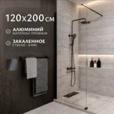 Душевая стенка Saniteco Walk-In SN-W8TB120 (120x200, прозрачное стекло, черный профиль)