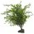 Искусственное растение Lucky Reptile Kalahari Bush IF-52