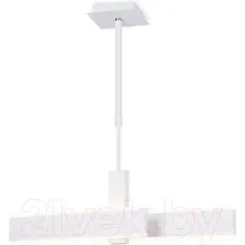 Потолочный светильник Ambrella Acrylica FA6666 WH (белый)