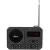 Радиоприемник Ritmix RPR-010