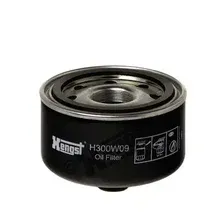 Масляный фильтр Hengst H300W09