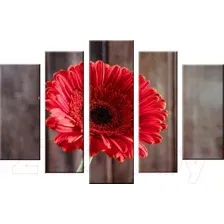 Модульная картина Arthata 5m-003 160x90