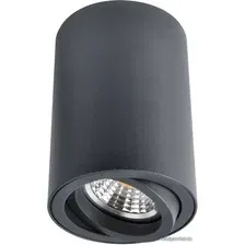 Точечный светильник Arte Lamp Sentry A1560PL-1BK