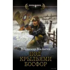 Под крыльями Босфор