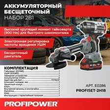 Набор электроинструмента Profipower ProfiSet-2H20 E0286 (гайковерт, болгарка, 2 АКБ, кейс)