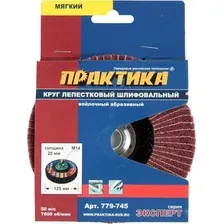 Шлифовальный круг Практика Эксперт 779-745