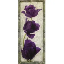 Картина Декарт 8Л3401