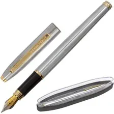Ручка перьевая BRAUBERG Brioso 143464