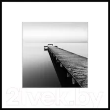 Картина на стекле Stamprint Природа 1 BW001 (50x50)