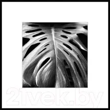 Картина на стекле Stamprint Листья 2 BW008 (50x50)