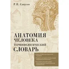 Книга АСТ Терминологический. Анатомия человека (Самусев Рудольф 9785171662707)