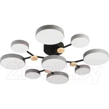 Припотолочная люстра LED4U L3201-780 GR