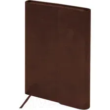 Ежедневник Brauberg Magnetic X / 113280 (коричневый)
