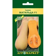 Тыква Матильда F1, 5 шт
