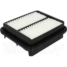 Воздушный фильтр Filtron AP176/1