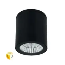 Светильник уличный потолочный Arte Lamp TORCULAR A1313PF-1BK