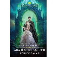 Художественная книга Эксмо Академия сумерек. Темное пламя / 9785041877163 (Змеевская А., Гринберг А.)
