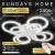 Подвесная люстра Sundays Home KR-41 6334