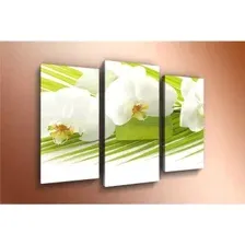 Модульная картина Arthata m-000262 120x80